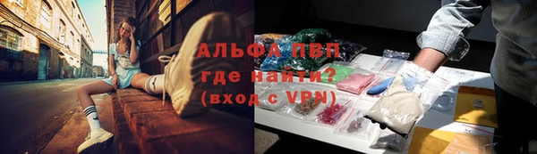 ПСИЛОЦИБИНОВЫЕ ГРИБЫ Липки