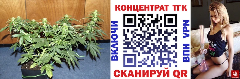 ТГК THC oil Купить Сураж
