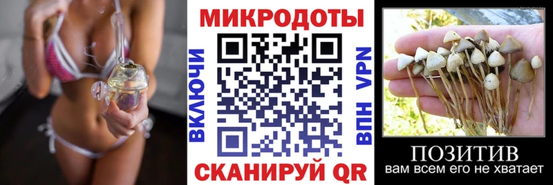 Купить где  Сураж  Галлюциногенные грибы мухоморы 